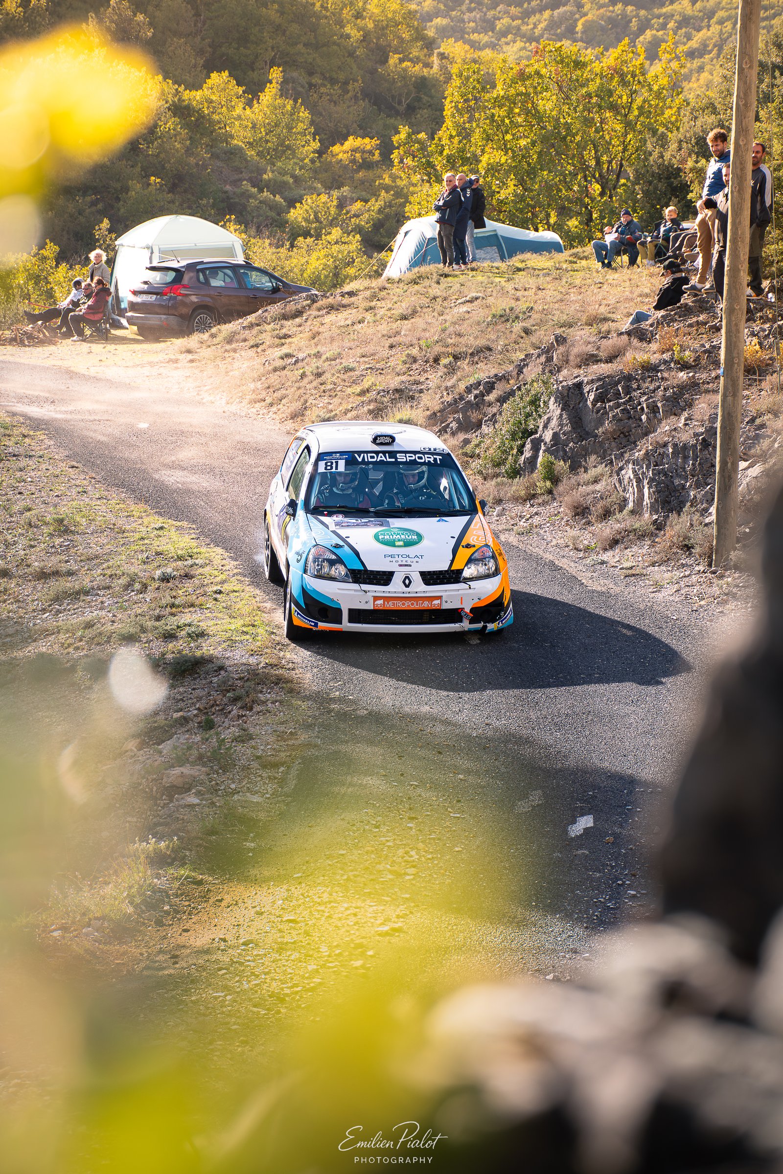 Peugeot 208 Rally4 verte et blanche sur une petite route sinueuse en forêt