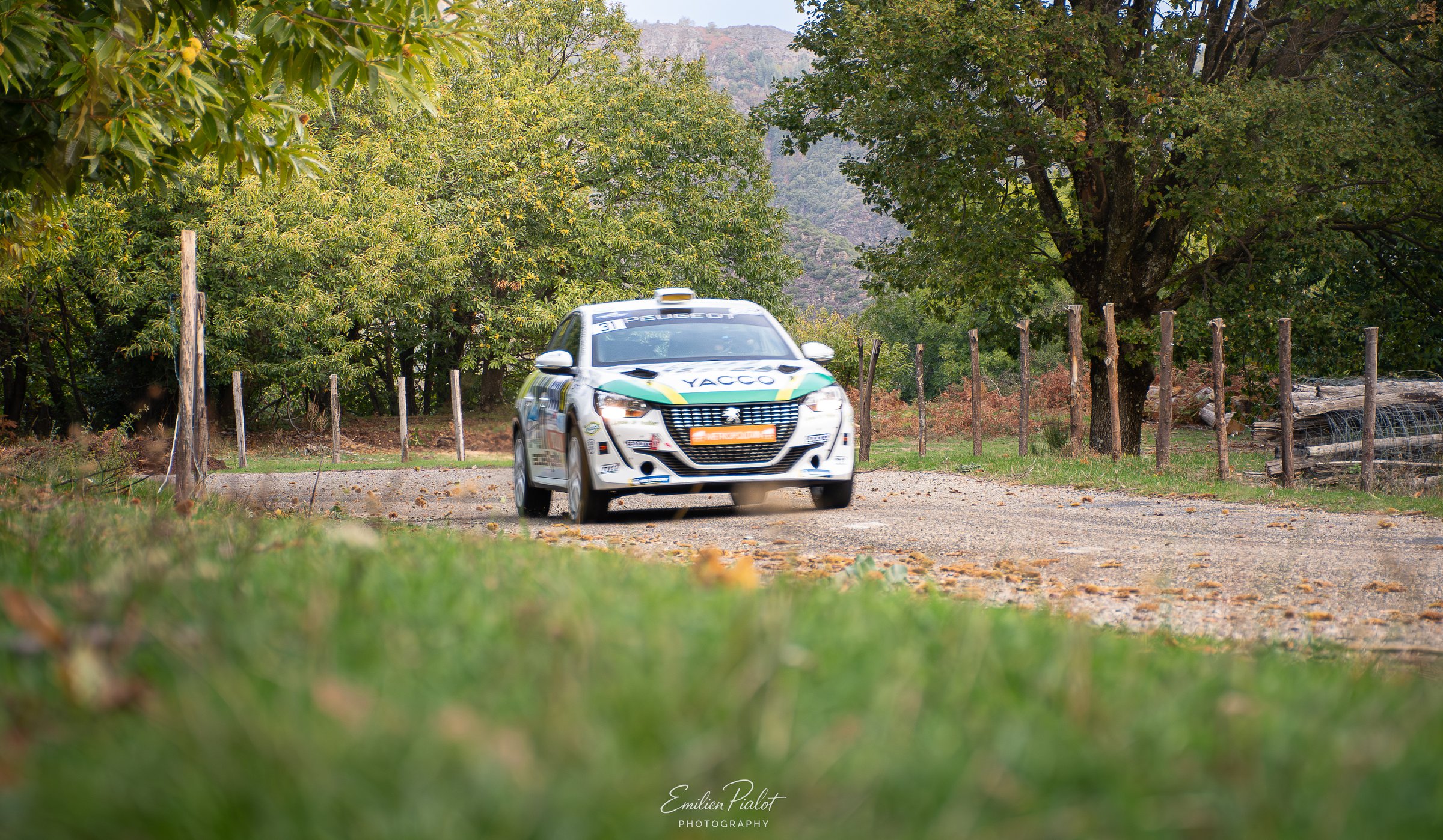 Voiture de rallye de nuit dans un virage, spectateurs au bord de la route