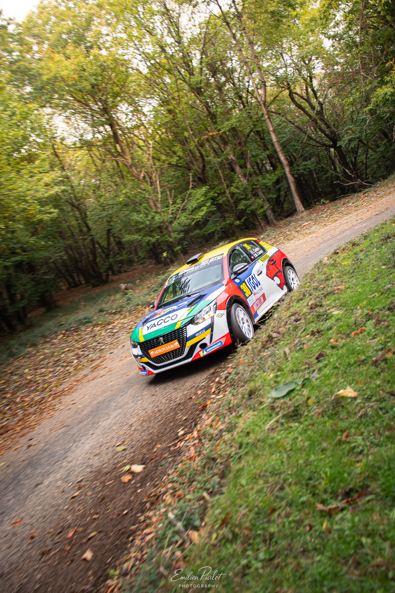 Peugeot 208 Rally4 blanche et verte sur gravier, forêt d'automne