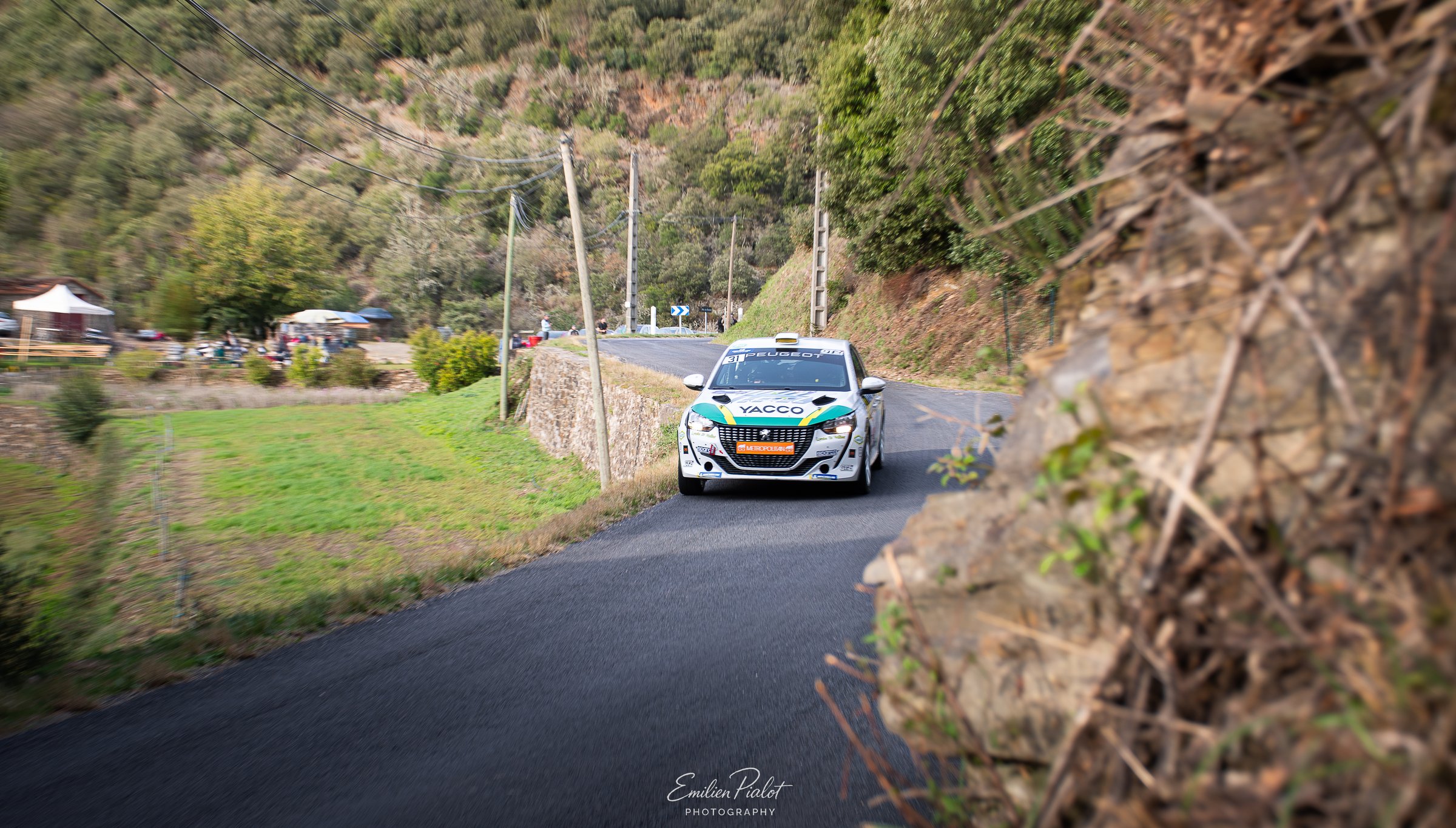 Peugeot 208 Rally4 verte et blanche dans un virage face à la vallée
