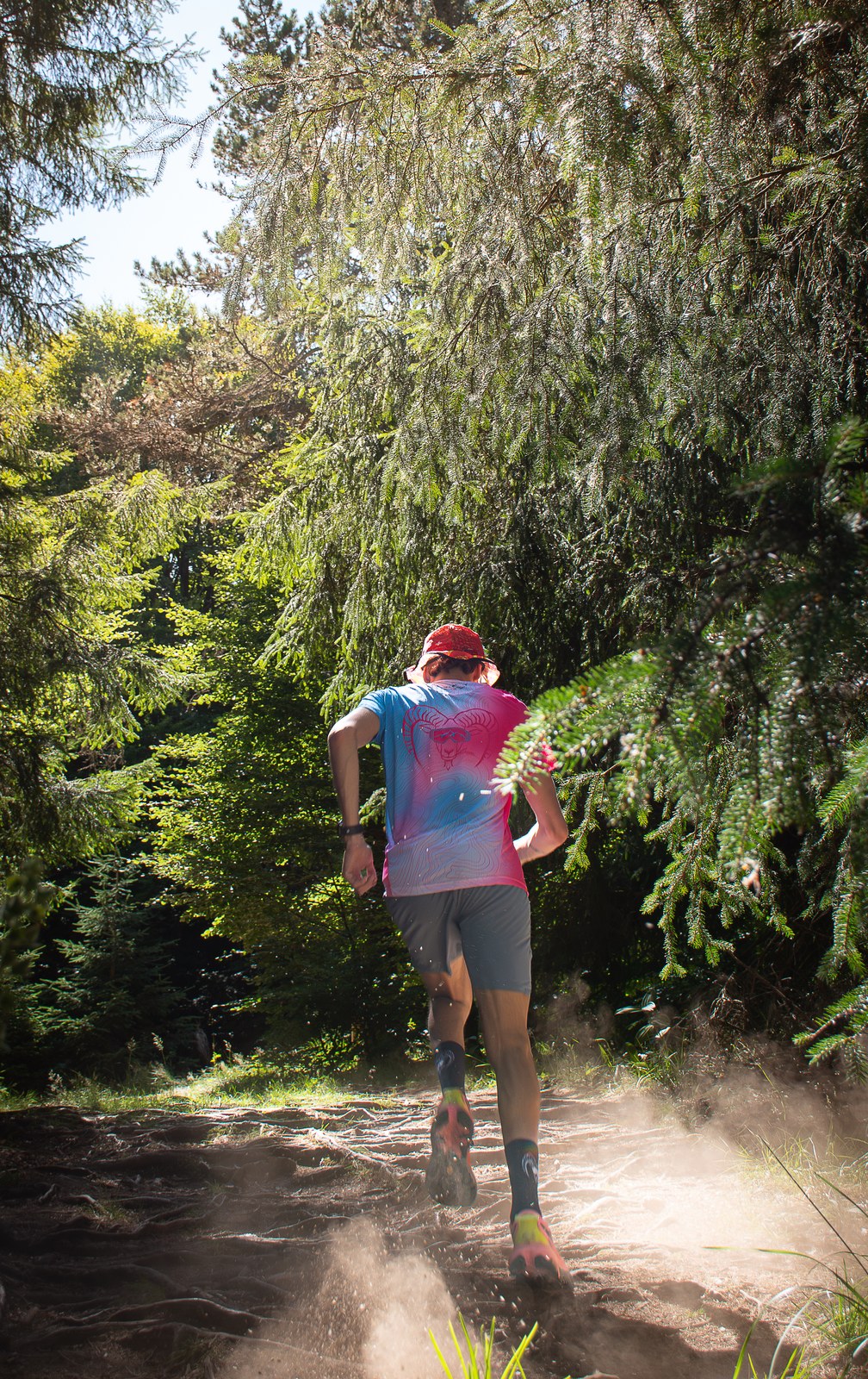 Course sur un sentier baigné de lumière