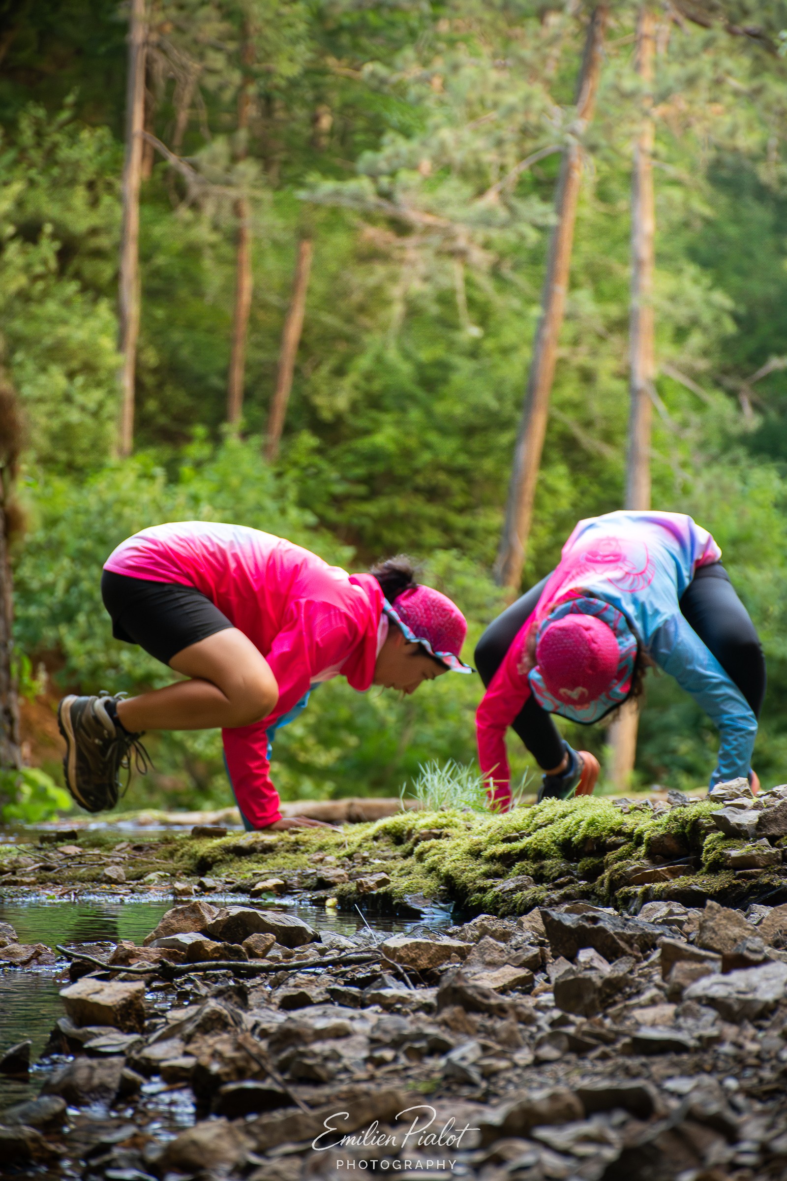 Séance Muflon dans le ruisseau, en pleine action