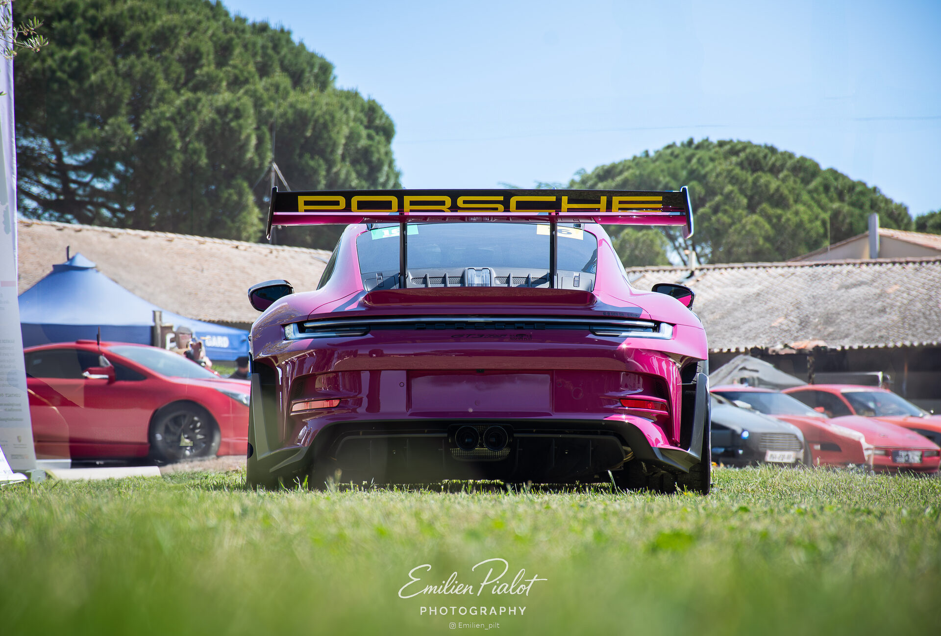 Porsche GT3 RS rose, plan large sur l'herbe